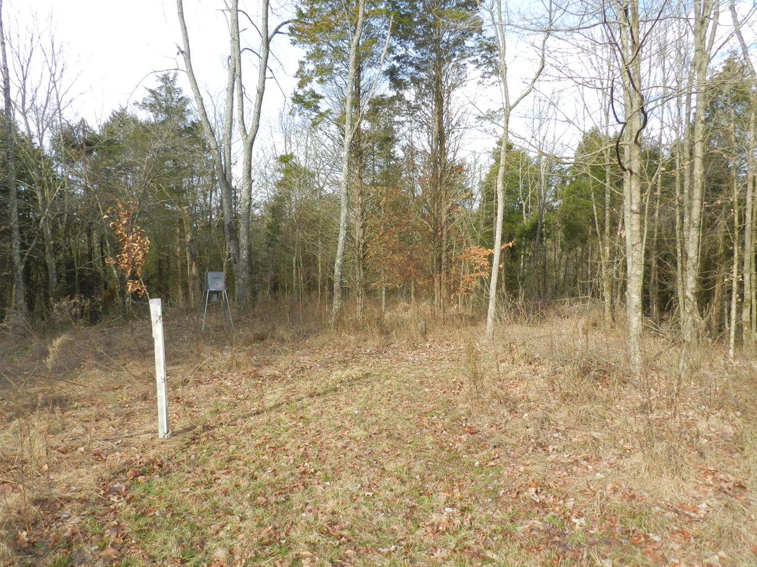 10663 H Ford Road Bennington, IN 47011 - Photo 24 of 38