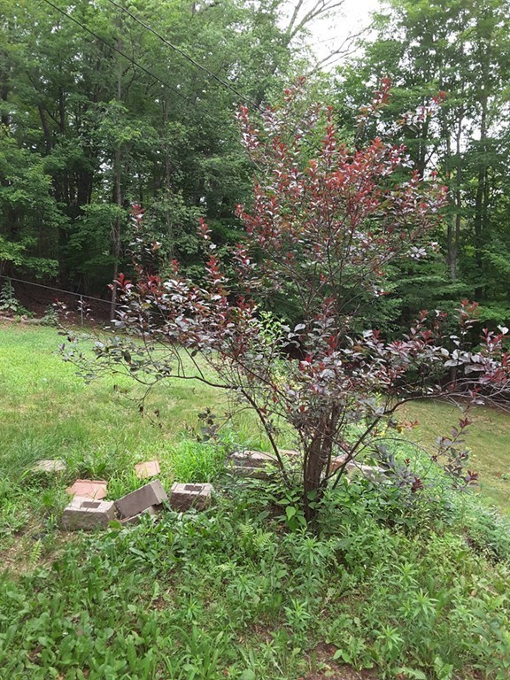 21 Allen Road Sturbridge, MA 01566 - Photo 26 of 27