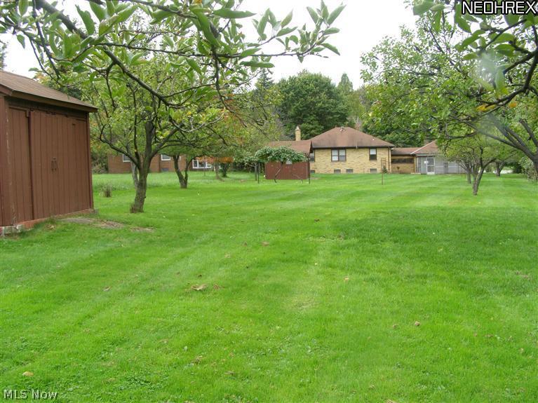 203 Richmond Road Cleveland, OH 44143 - Photo 2 of 19 A view from the back of the 3/4 acre property with multiple fruit trees and a grape arbor.