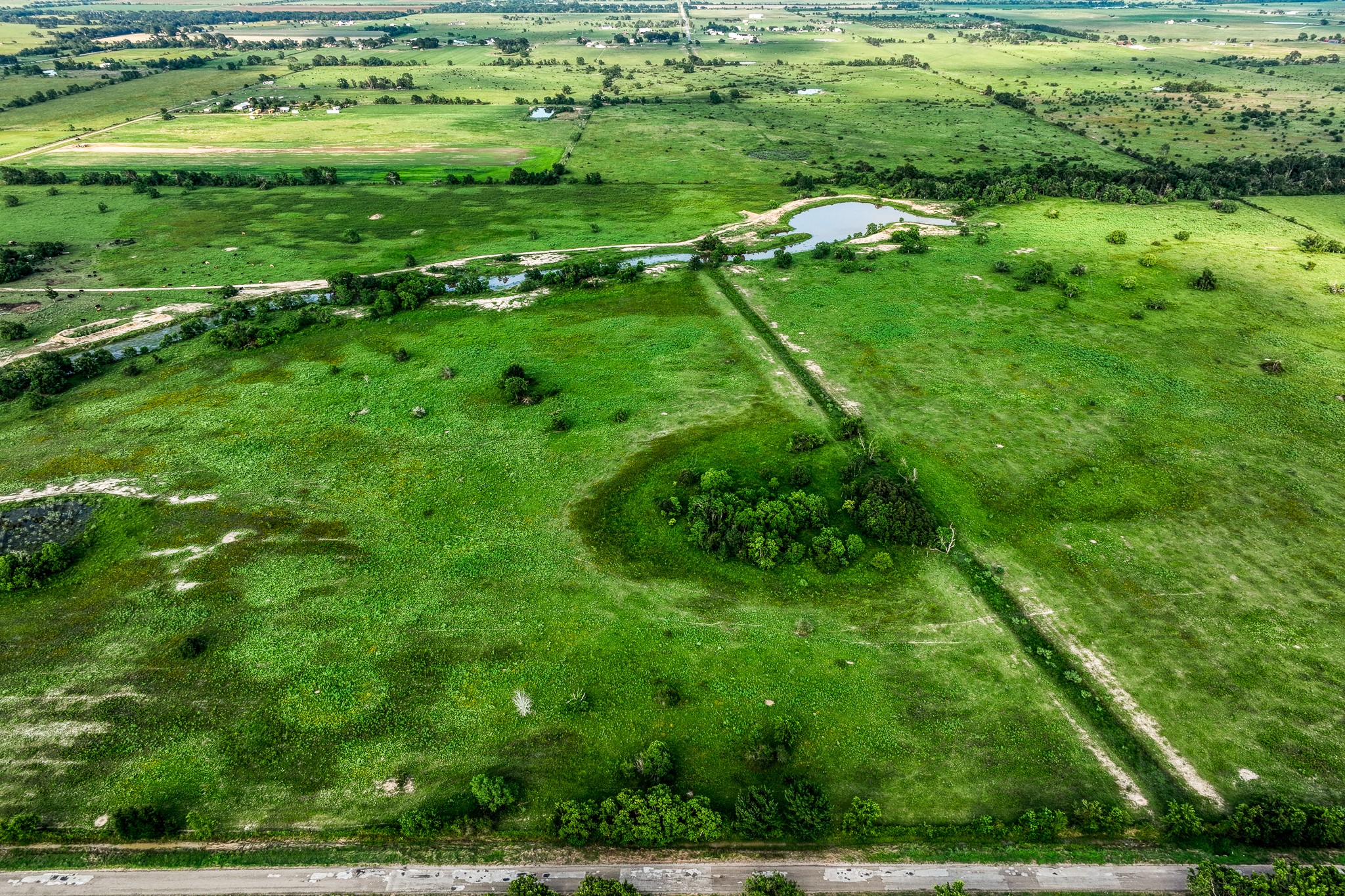 1001 Schmidt Road Waller, TX 77484 - Photo 21 of 28 a yard with lots of green space