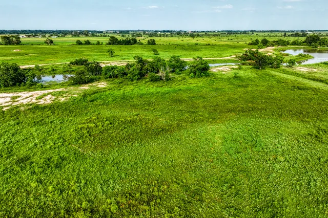 a view of a green field with lots of green space