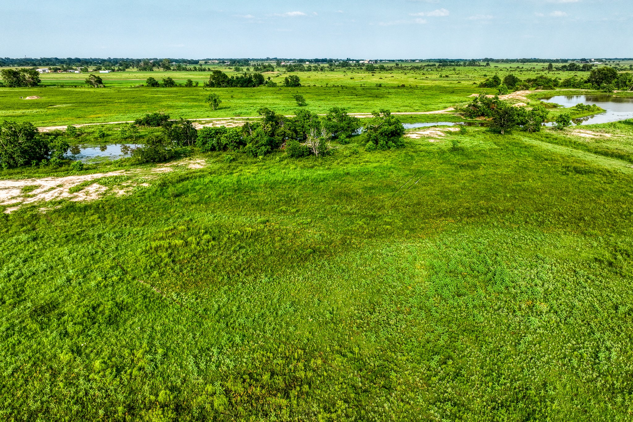 1001 Schmidt Road Waller, TX 77484 - Photo 22 of 28 a view of a green field with lots of green space
