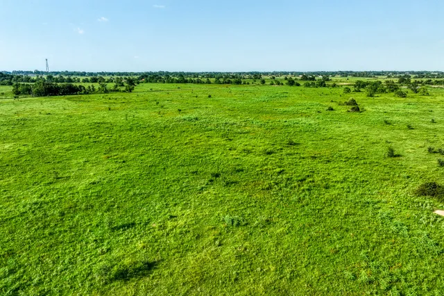 a view of a green field
