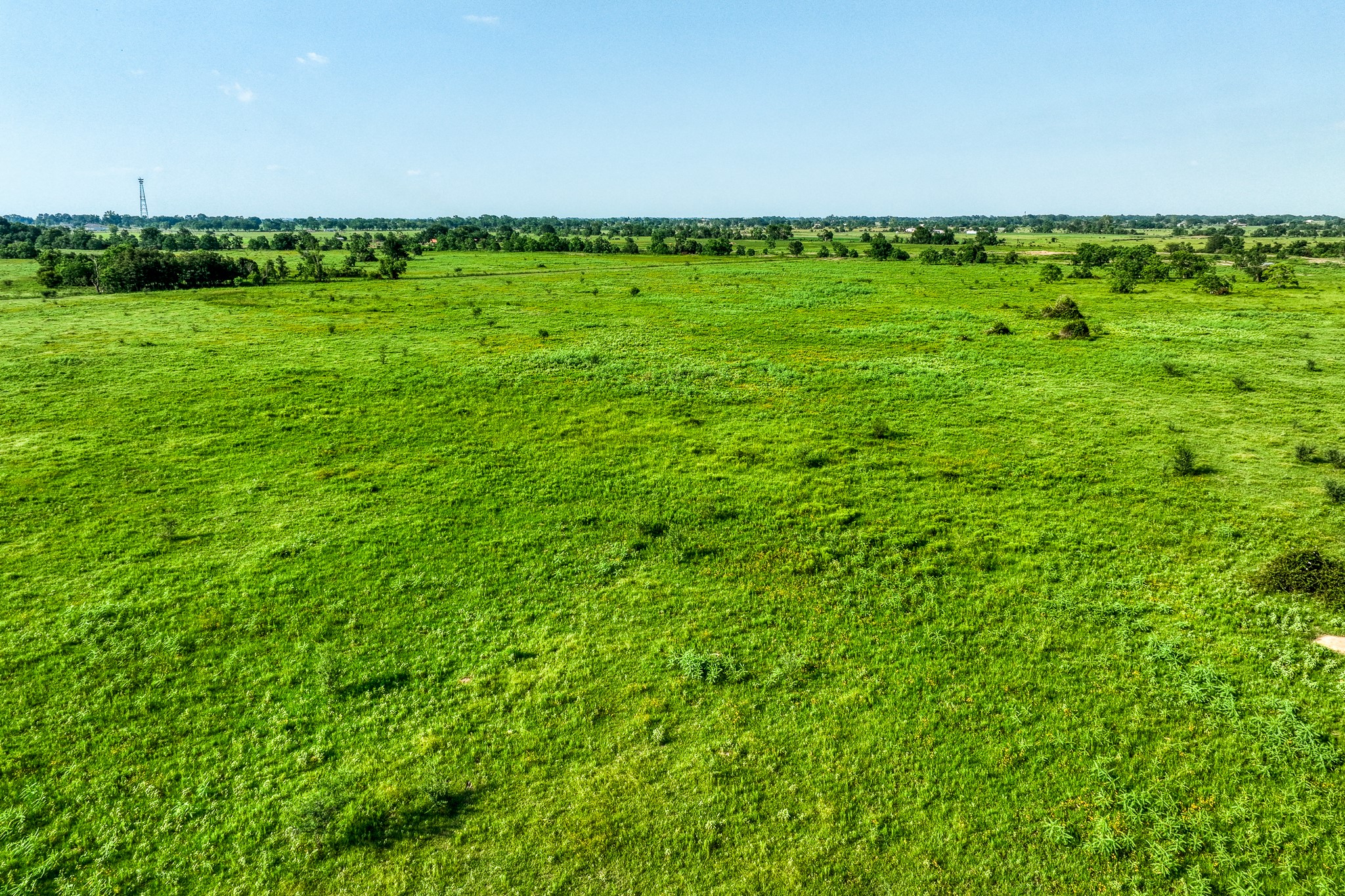 1001 Schmidt Road Waller, TX 77484 - Photo 25 of 28 a view of a green field