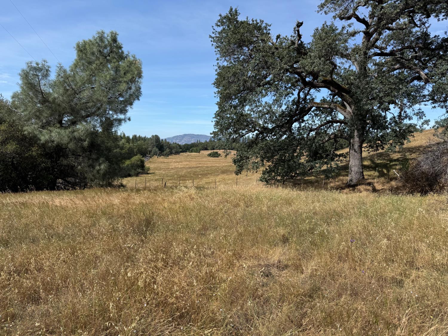 0 French Gulch Road Murphys, CA 95247 - Photo 3 of 19