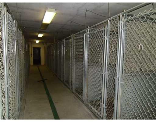 28 Smith Road Dayton, ME 04005 - Photo 21 of 25 Interior kennel