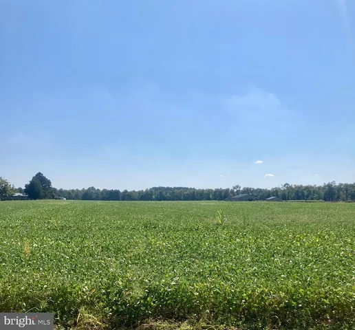 a view of a green field with an ocean view