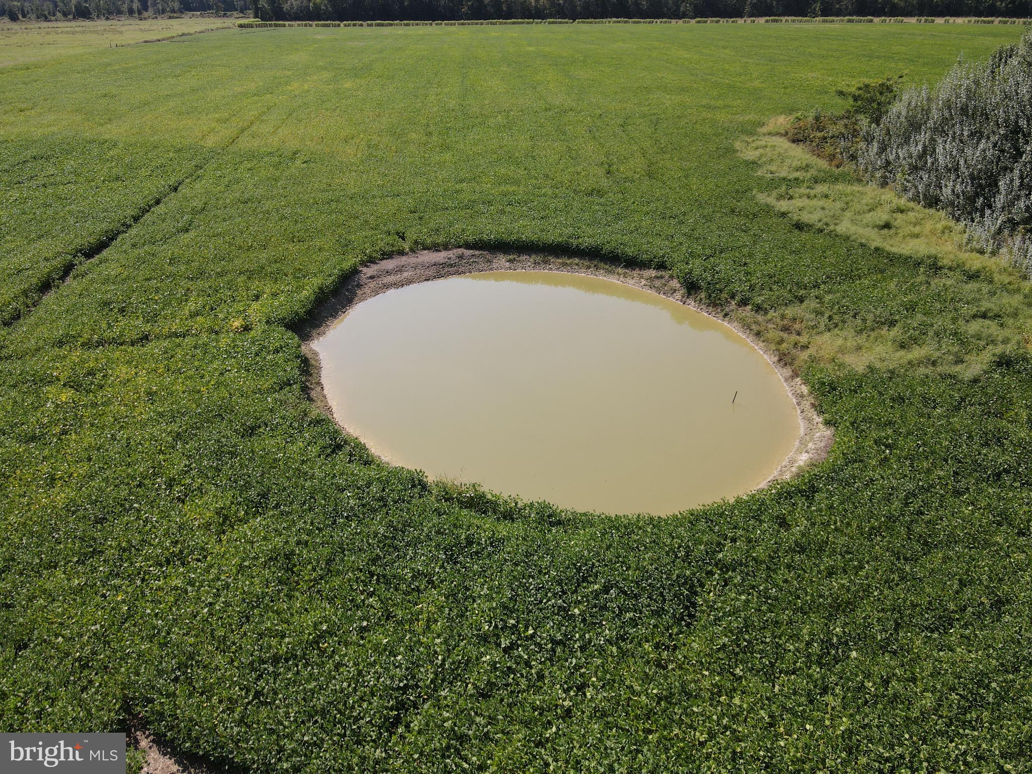 700-769 Sandtown Road Felton, DE 19943 - Photo 7 of 8 a view of a outdoor space and a lake view