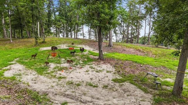 a view of backyard with green space