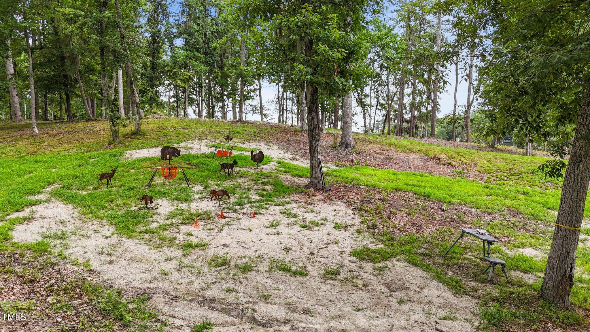4725 Creeks Junction Road Blounts Creek, NC 27814 - Photo 42 of 42 a view of backyard with green space