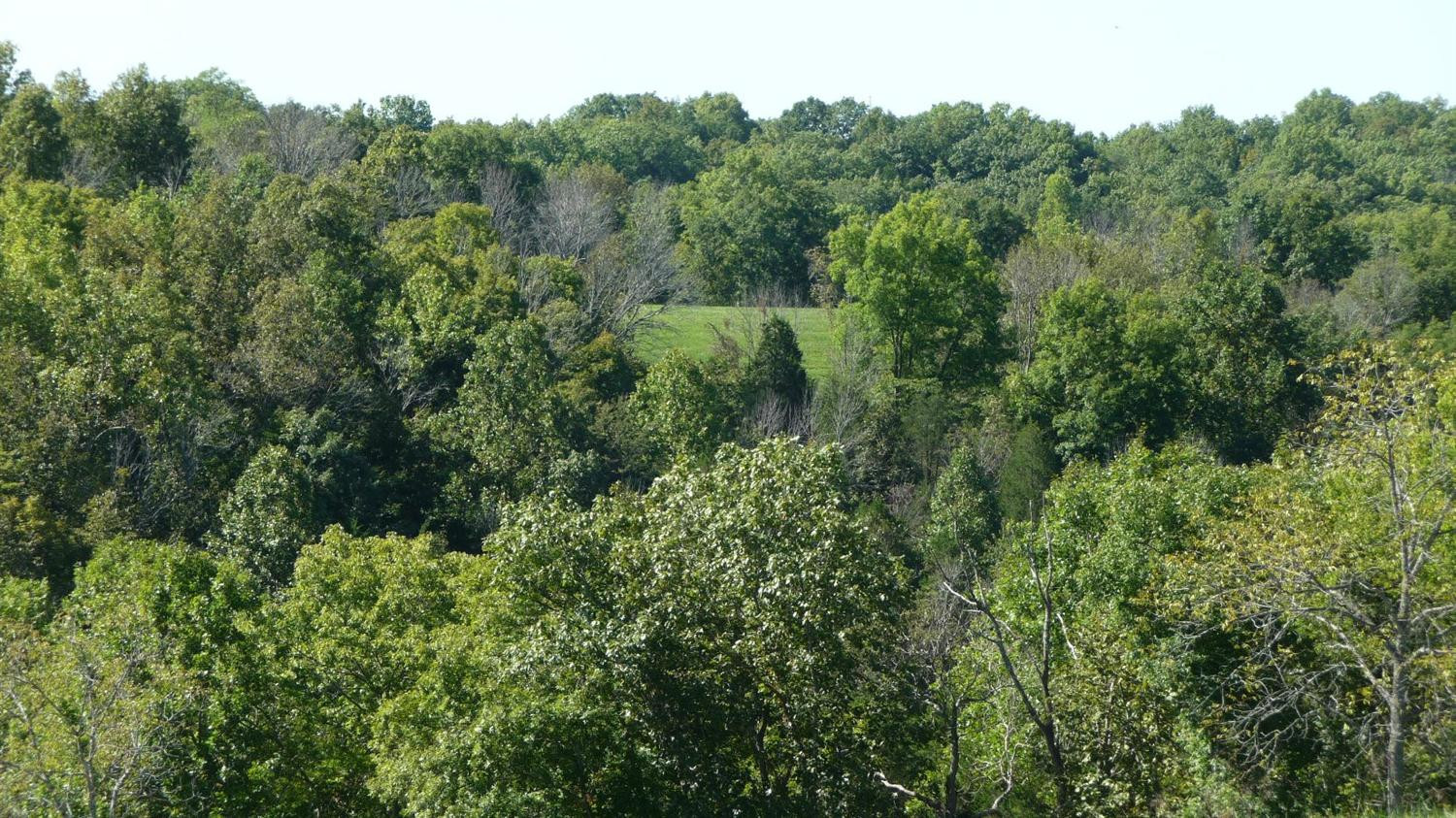 6265 Georgetown Road Owenton, KY 40359 - Photo 26 of 30 Gallery Image 26