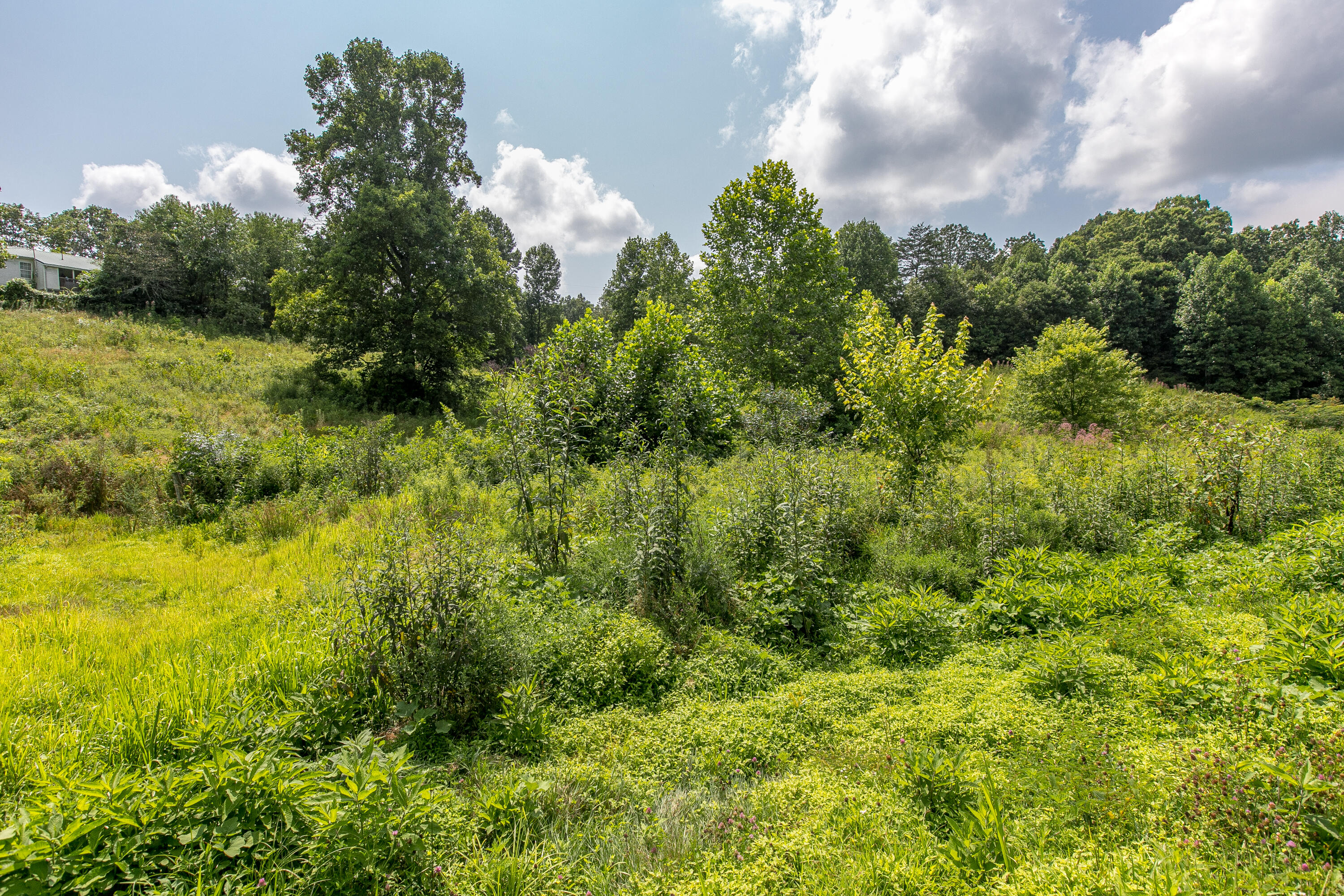 506 Old Fox Road Irvine, KY 40336 - Photo 30 of 55 2-29