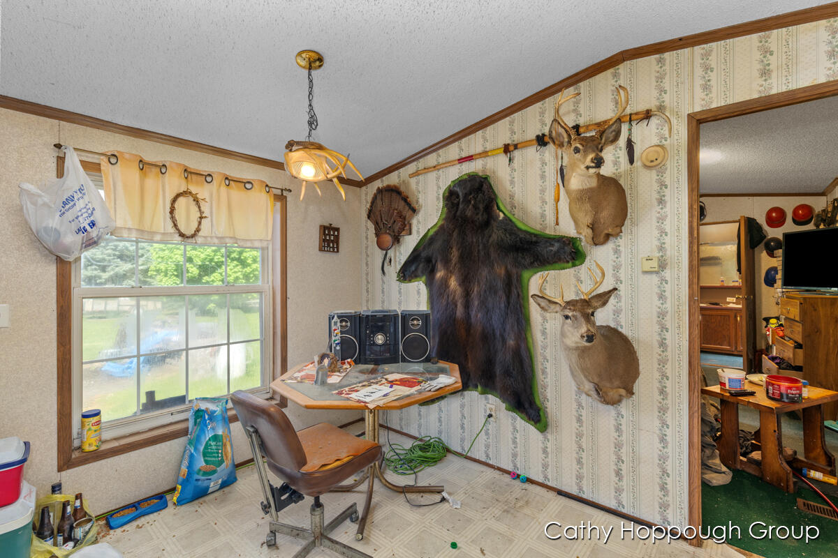 4782 Westbrook Road Ionia, MI 48846 - Photo 11 of 24 IMG_1010