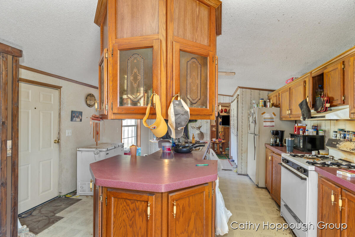 4782 Westbrook Road Ionia, MI 48846 - Photo 8 of 24 IMG_1007