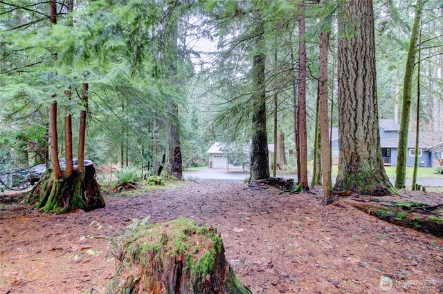 a view of outdoor space with deck and tree