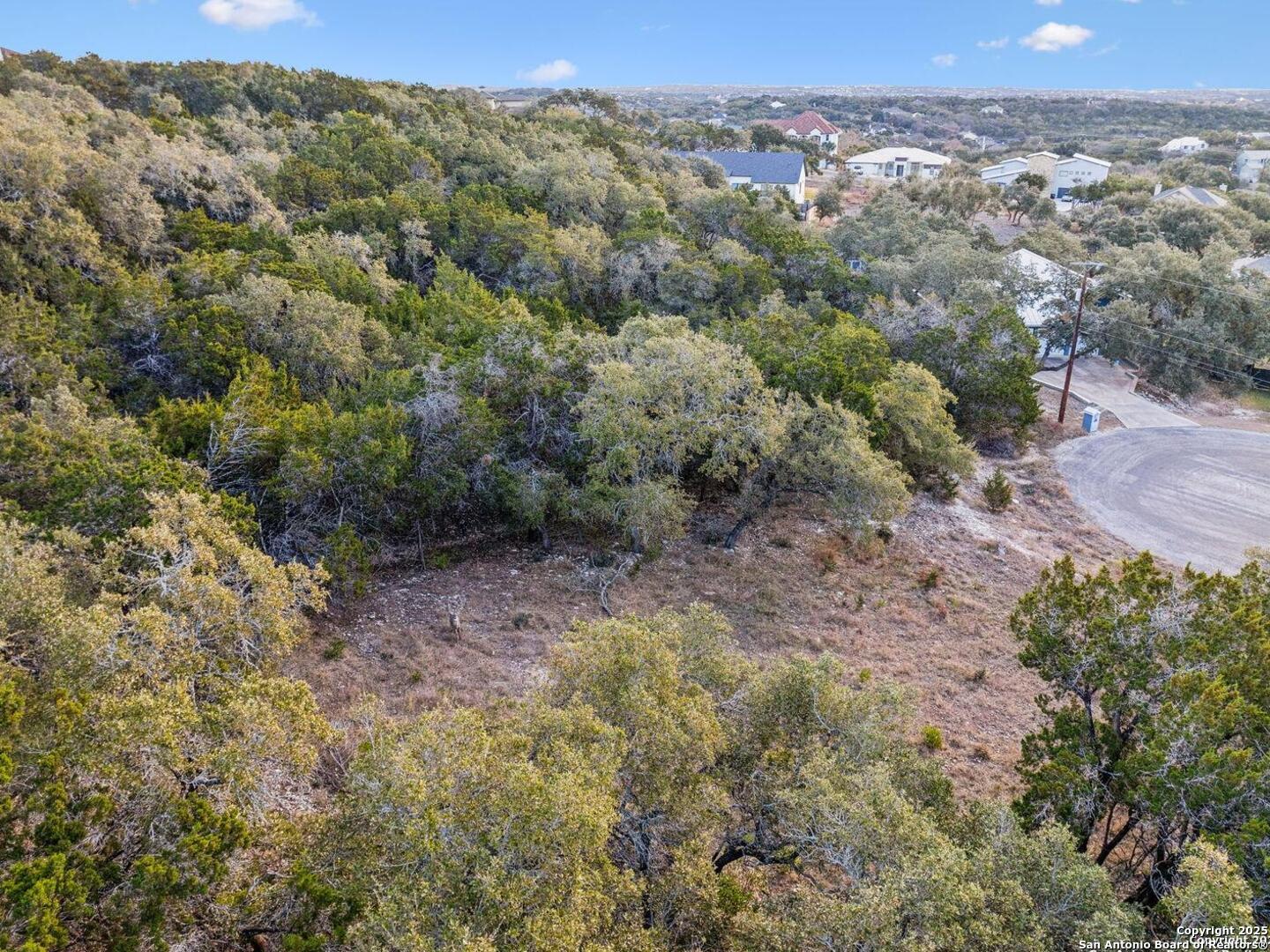 25625 Mt Rhapsody San Antonio, TX 78260 - Photo 11 of 20 a view of a forest with a mountain in the background