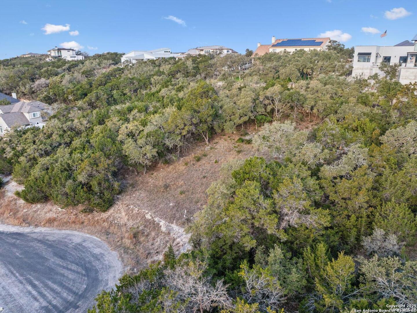 25625 Mt Rhapsody San Antonio, TX 78260 - Photo 12 of 20 a view of a forest with a street