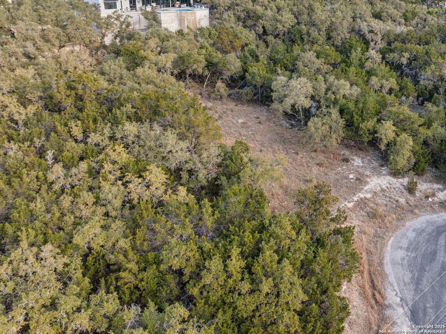 25625 Mt Rhapsody San Antonio, TX 78260 - Photo 14 of 20 a view of a forest with trees in the background