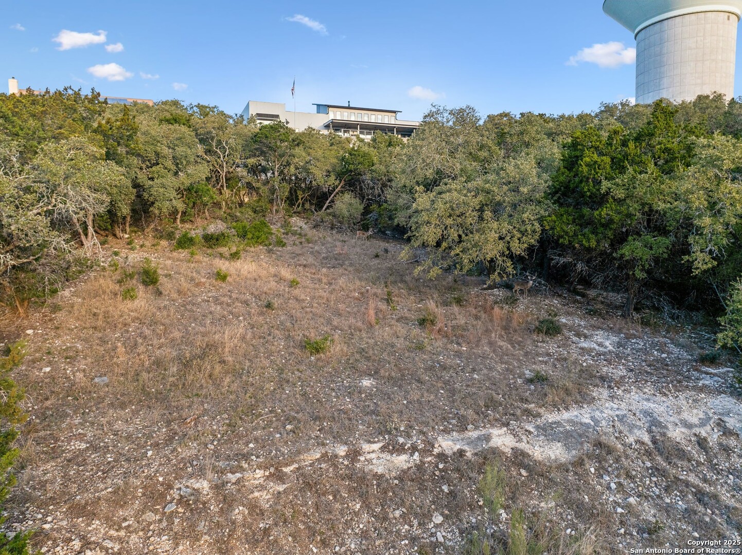25625 Mt Rhapsody San Antonio, TX 78260 - Photo 15 of 20 a view of a forest with a street