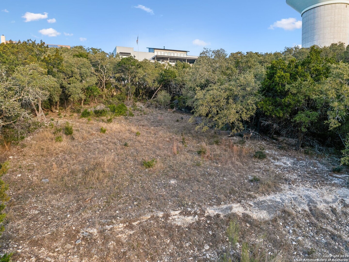 25625 Mt Rhapsody San Antonio, TX 78260 - Photo 2 of 20 a view of a forest with trees in the background