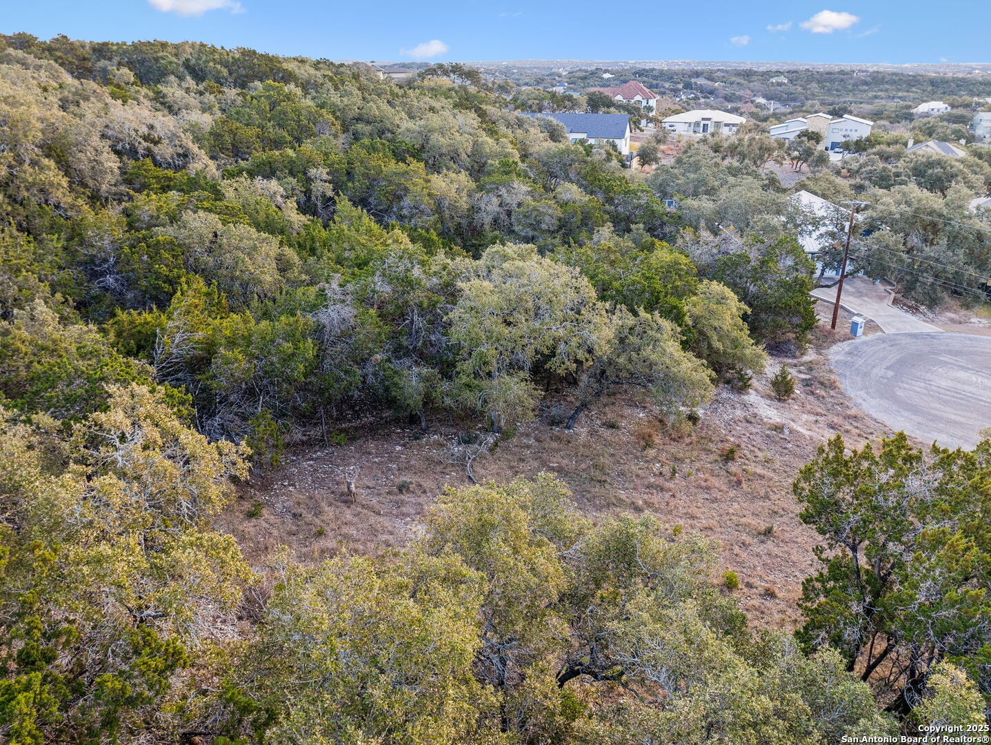 25625 Mt Rhapsody San Antonio, TX 78260 - Photo 4 of 20 an aerial view of forest