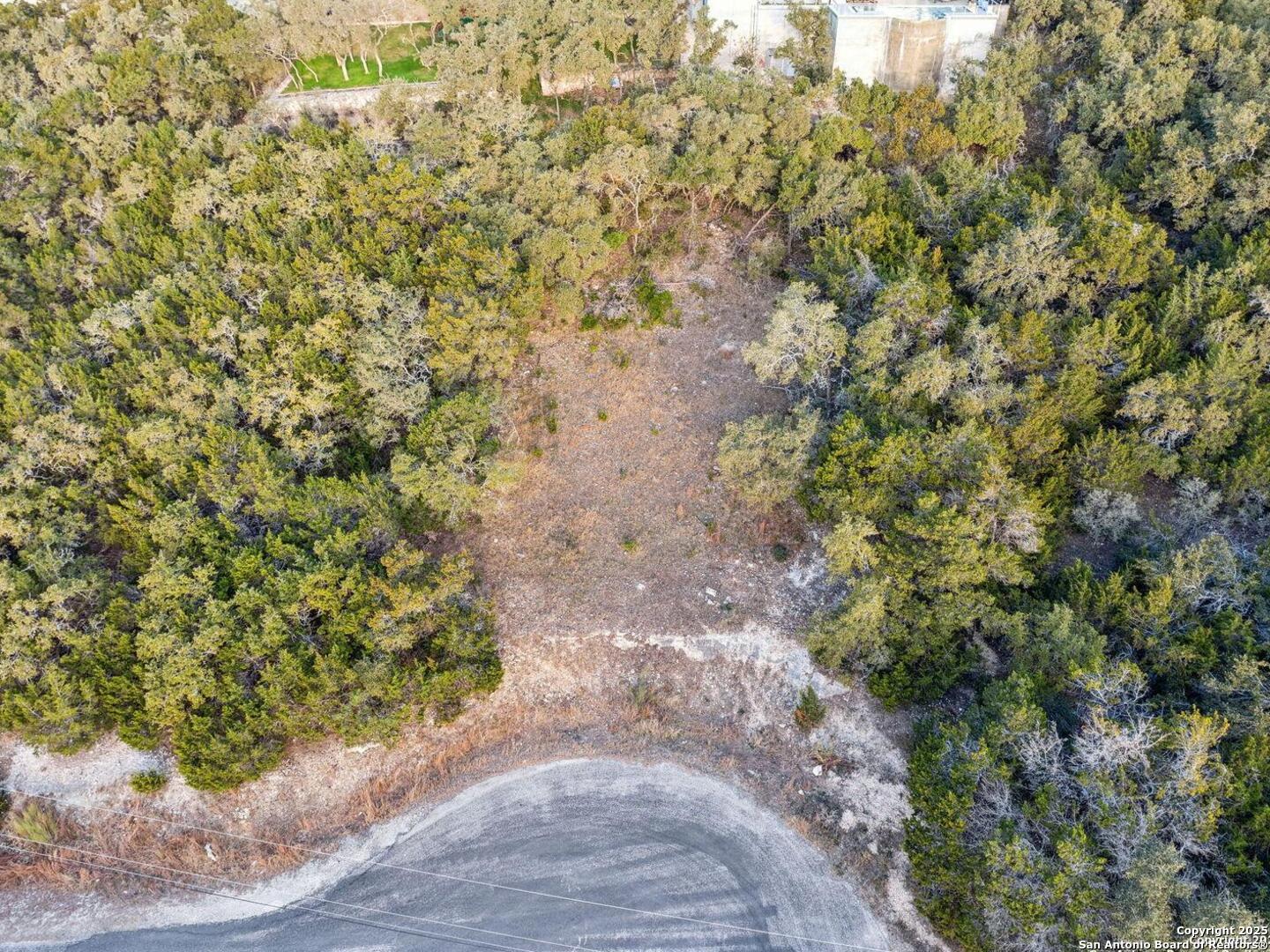 25625 Mt Rhapsody San Antonio, TX 78260 - Photo 6 of 20 a view of a yard with plants