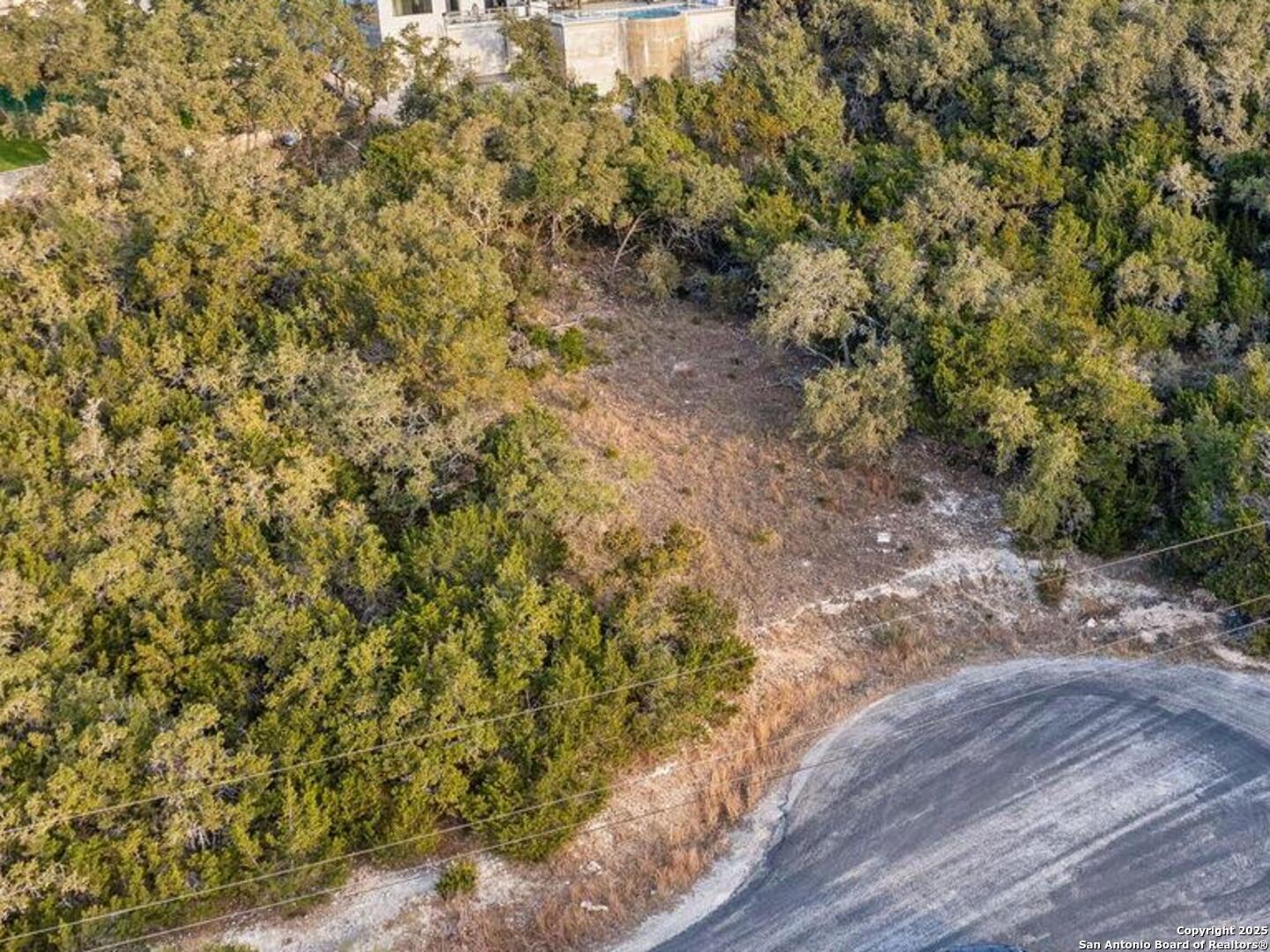 25625 Mt Rhapsody San Antonio, TX 78260 - Photo 7 of 20 a view of a yard with plants and wooden bench
