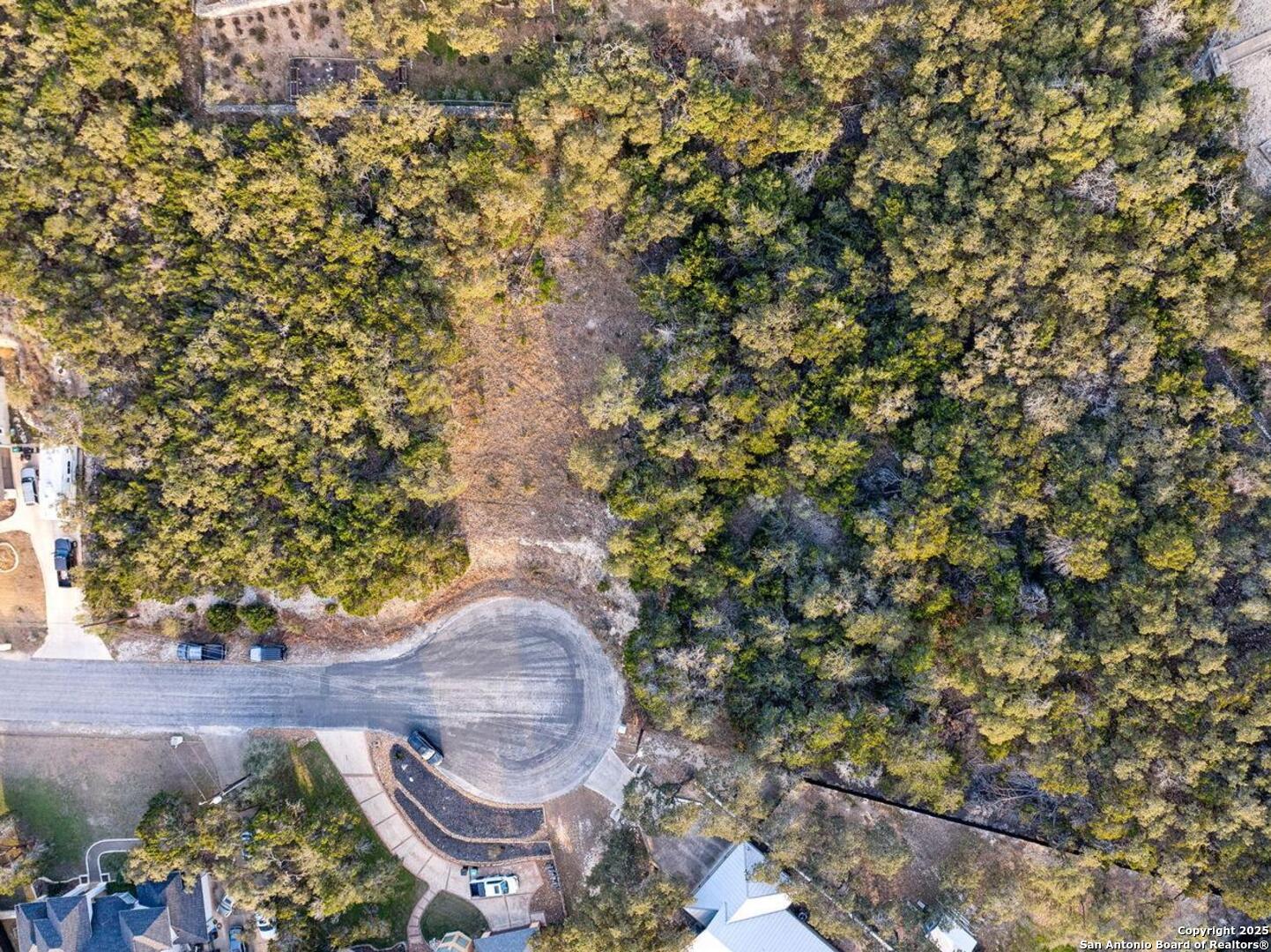 25625 Mt Rhapsody San Antonio, TX 78260 - Photo 9 of 20 a view of a tree in front of a tree