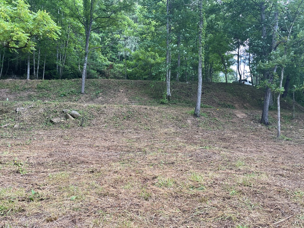 0 McDonald Road Murphy, NC 28906 - Photo 11 of 11