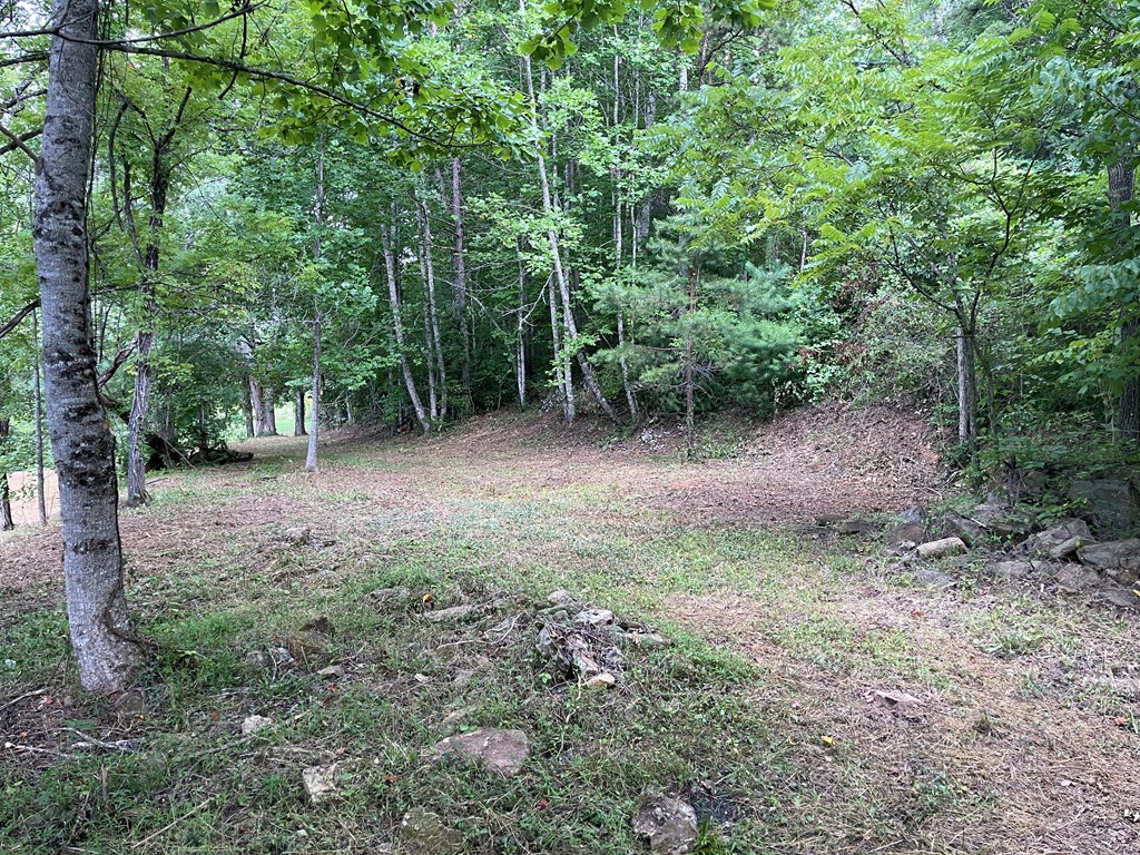 0 McDonald Road Murphy, NC 28906 - Photo 3 of 11