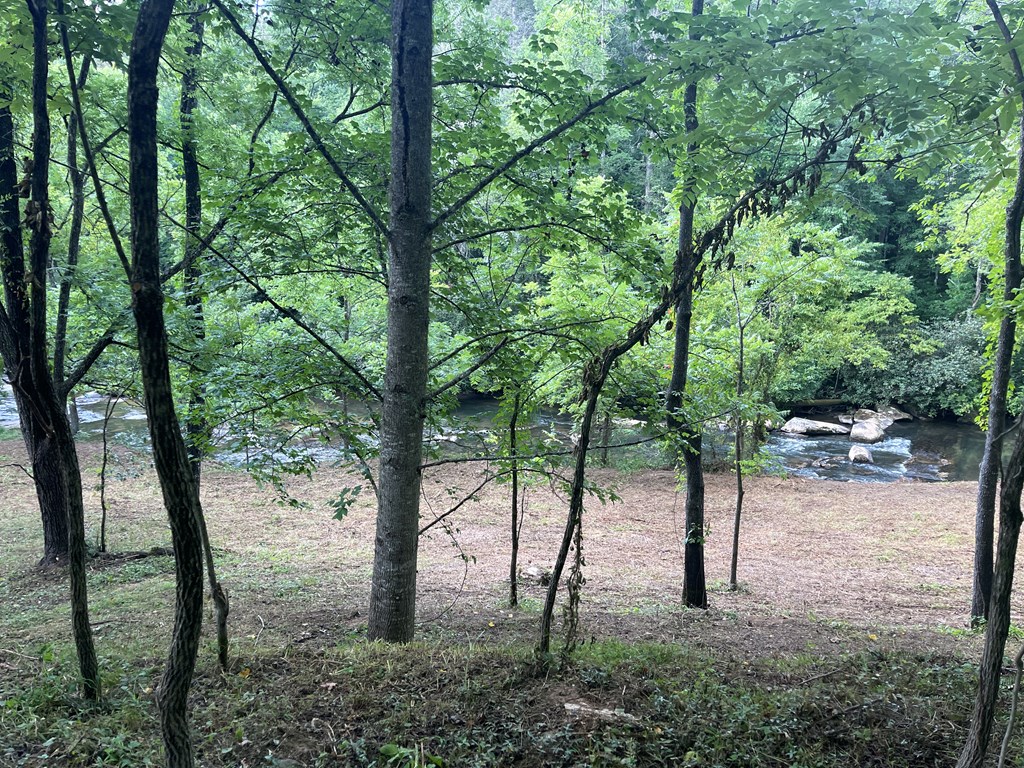 0 McDonald Road Murphy, NC 28906 - Photo 4 of 11