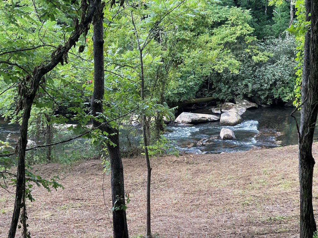 0 McDonald Road Murphy, NC 28906 - Photo 5 of 11