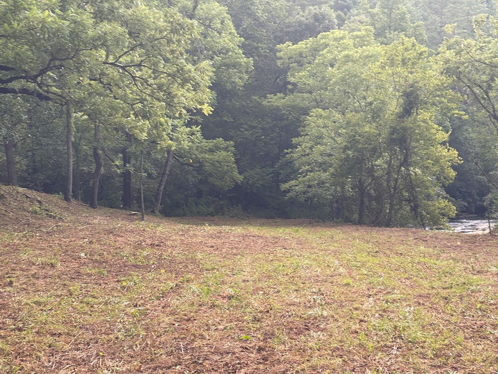 0 McDonald Road Murphy, NC 28906 - Photo 7 of 11