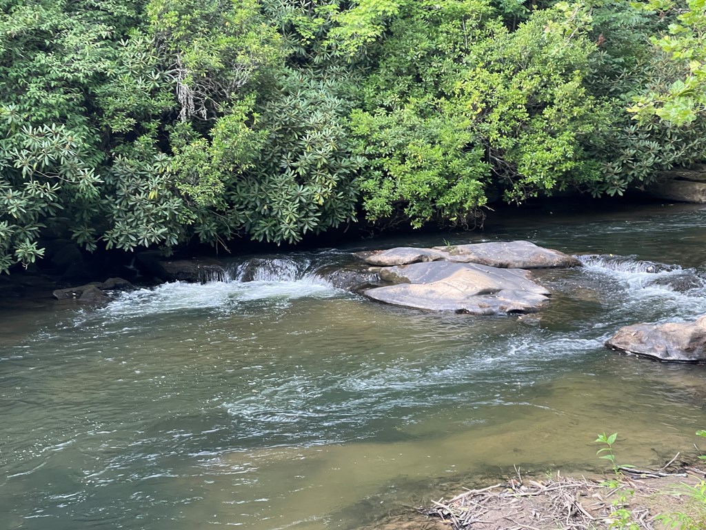 0 McDonald Road Murphy, NC 28906 - Photo 10 of 11