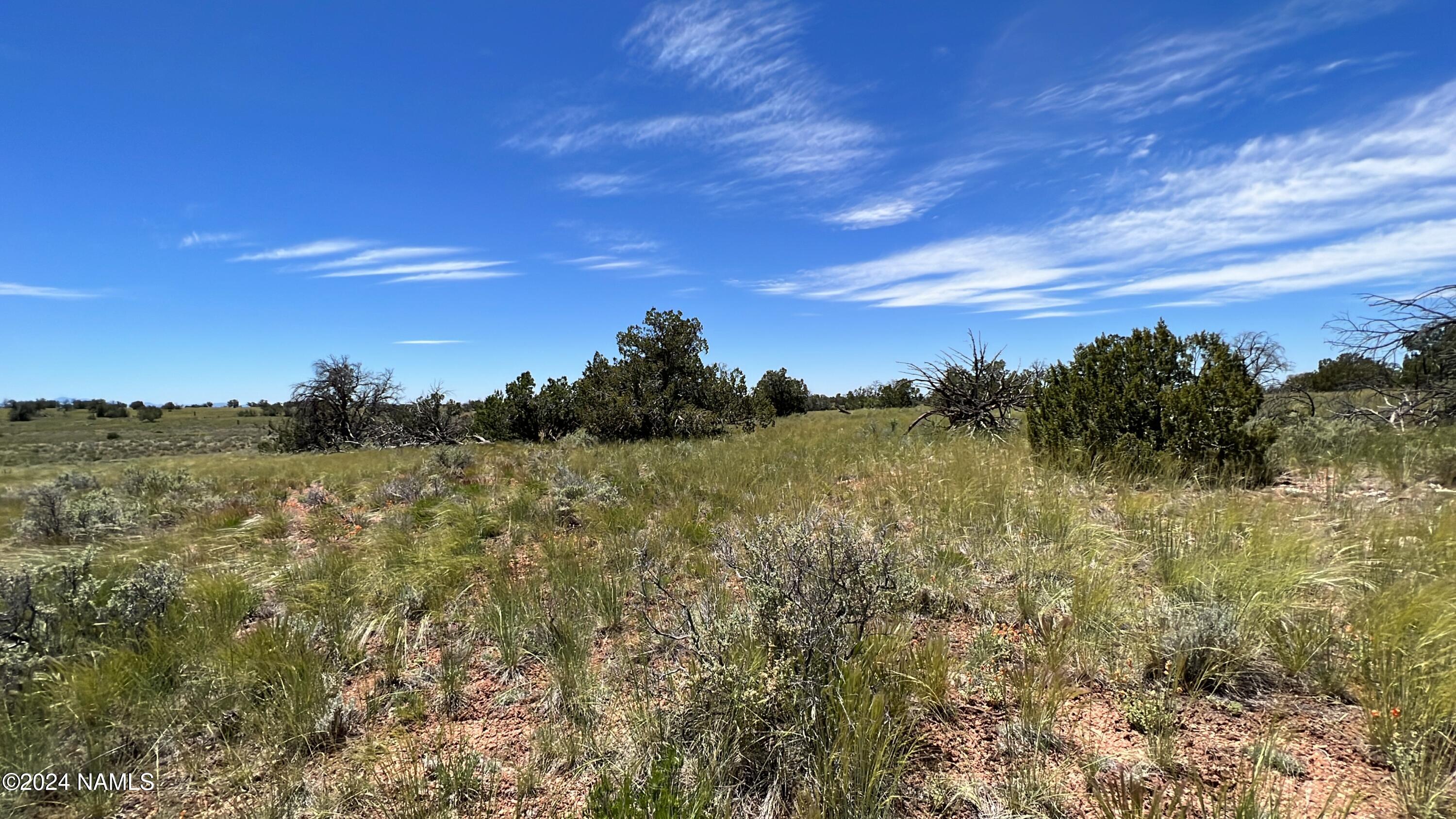 5634 North Alta Villa Road Williams, AZ 86046 - Photo 14 of 17 IMG_8680