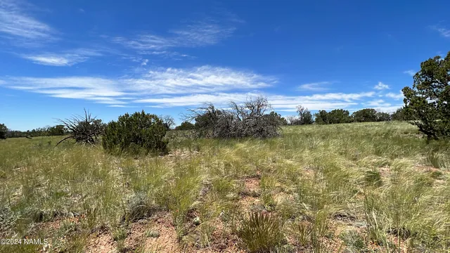 $55,000 | 5634 North Alta Villa Road, Williams, AZ 86046