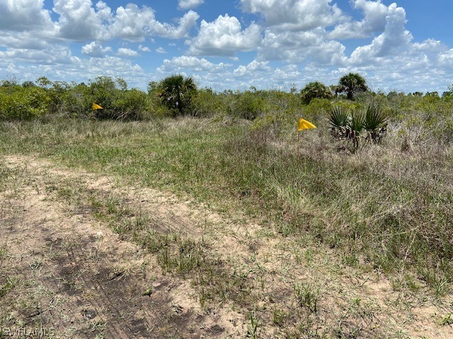 49411 Bermont Road Punta Gorda, FL 33982 - Photo 26 of 30 Gallery Image 26