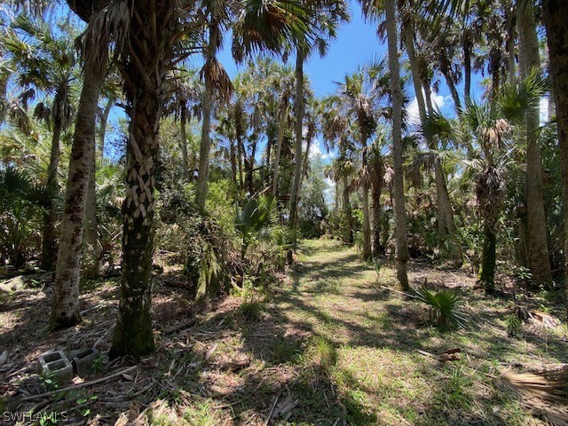 49411 Bermont Road Punta Gorda, FL 33982 - Photo 3 of 30 Gallery Image 3