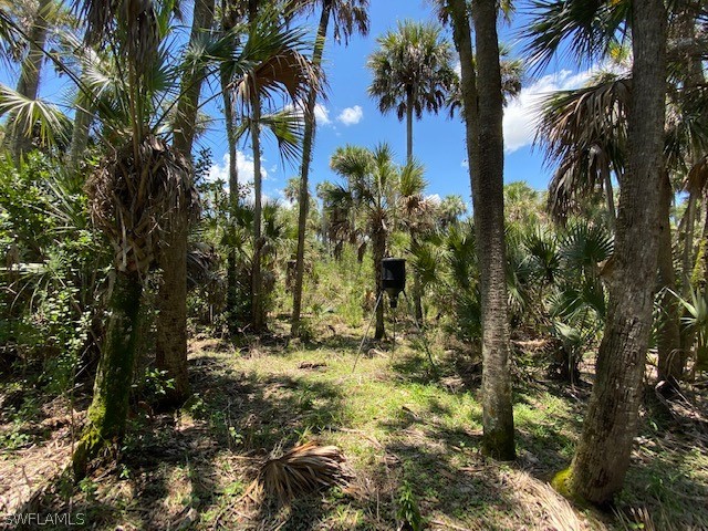 49411 Bermont Road Punta Gorda, FL 33982 - Photo 5 of 30 Gallery Image 5