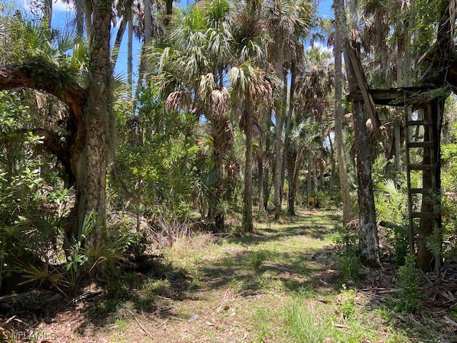 49411 Bermont Road Punta Gorda, FL 33982 - Photo 6 of 30 Gallery Image 6
