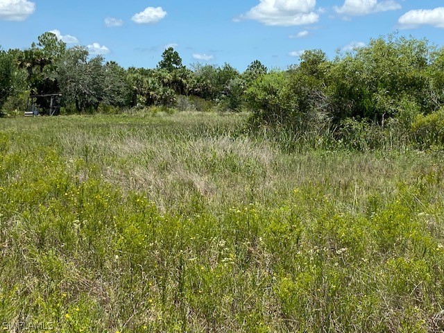 49411 Bermont Road Punta Gorda, FL 33982 - Photo 8 of 30 Gallery Image 8