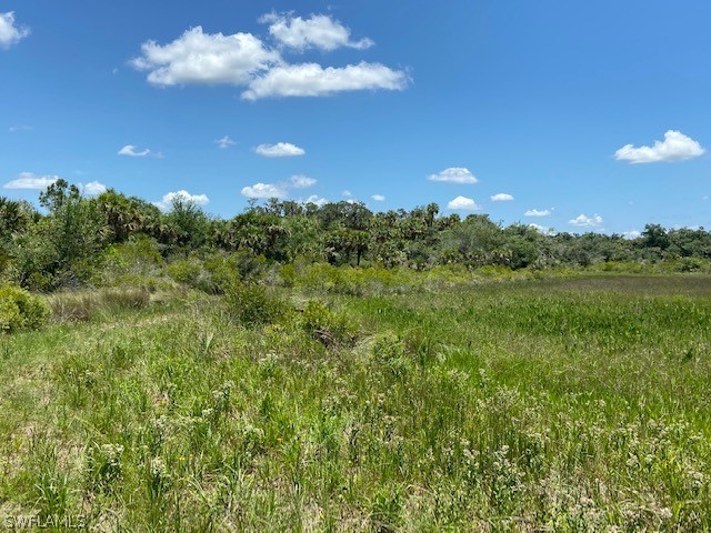 49411 Bermont Road Punta Gorda, FL 33982 - Photo 10 of 30 Gallery Image 10