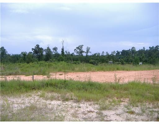 Smithtown Road Lumberton, MS 39455 - Photo 3 of 4 Additional Photo
