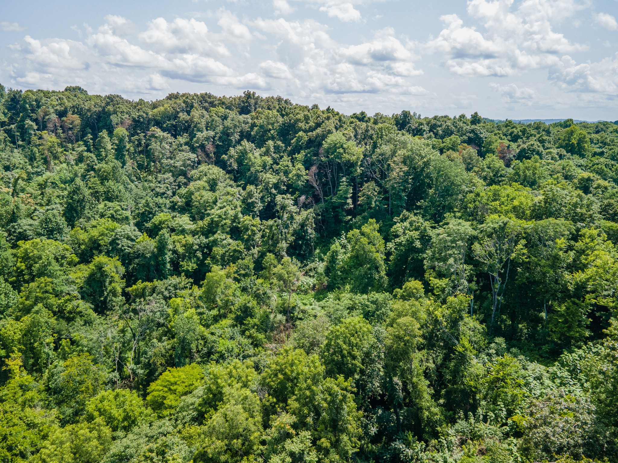 1700 Allen Brown Road Lewisburg, TN 37091 - Photo 30 of 80