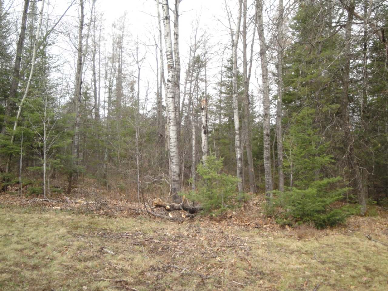 4299 Cth Street Rhinelander, WI 54501 - Photo 8 of 10 Gallery Image 8