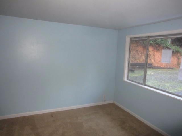 1272 Mt Reuben Road Glendale, OR 97442 - Photo 18 of 19 Additional Photo