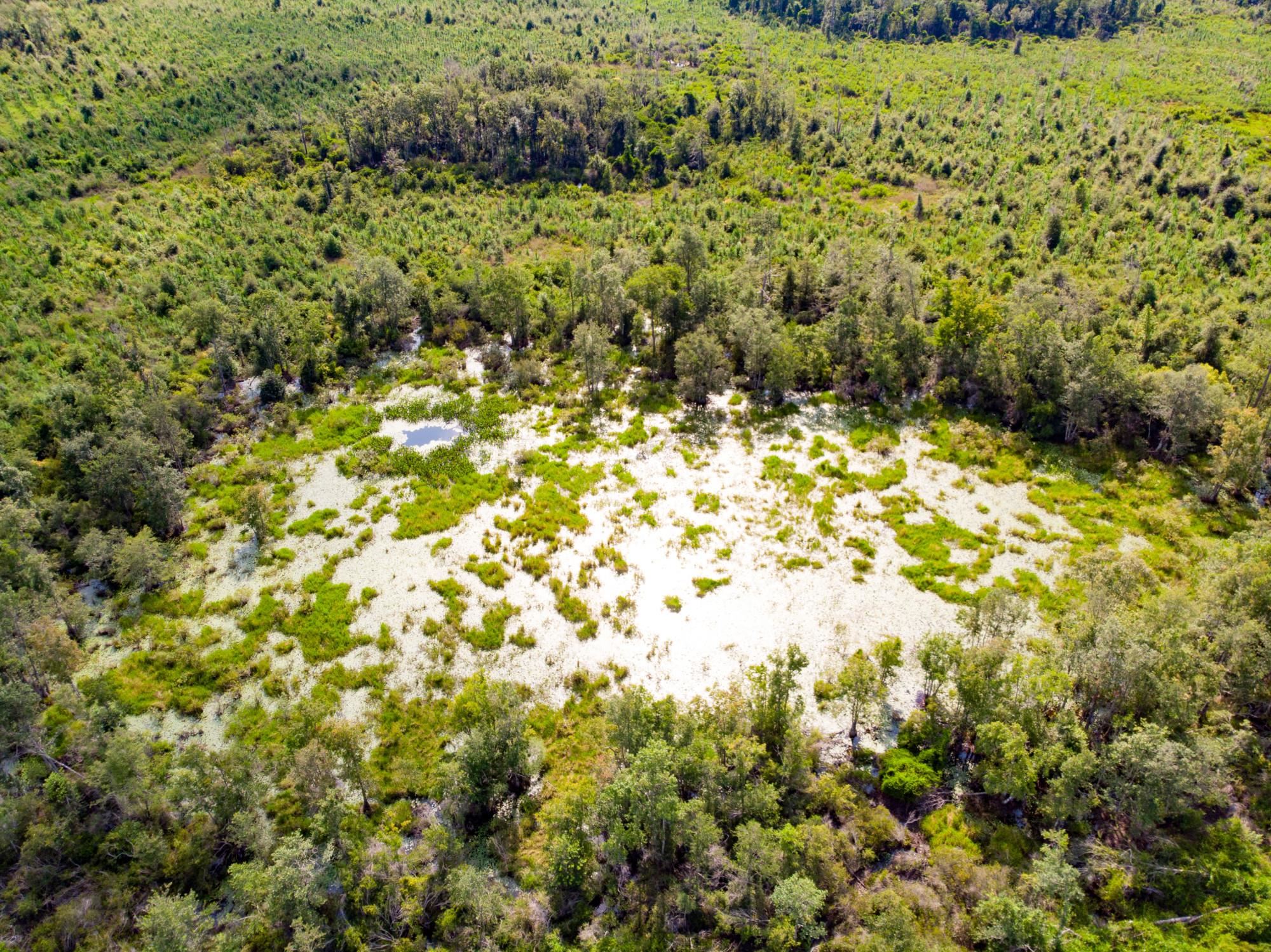 Cemetery Road Lamont, FL 32336 - Photo 11 of 28 Gallery Image 11