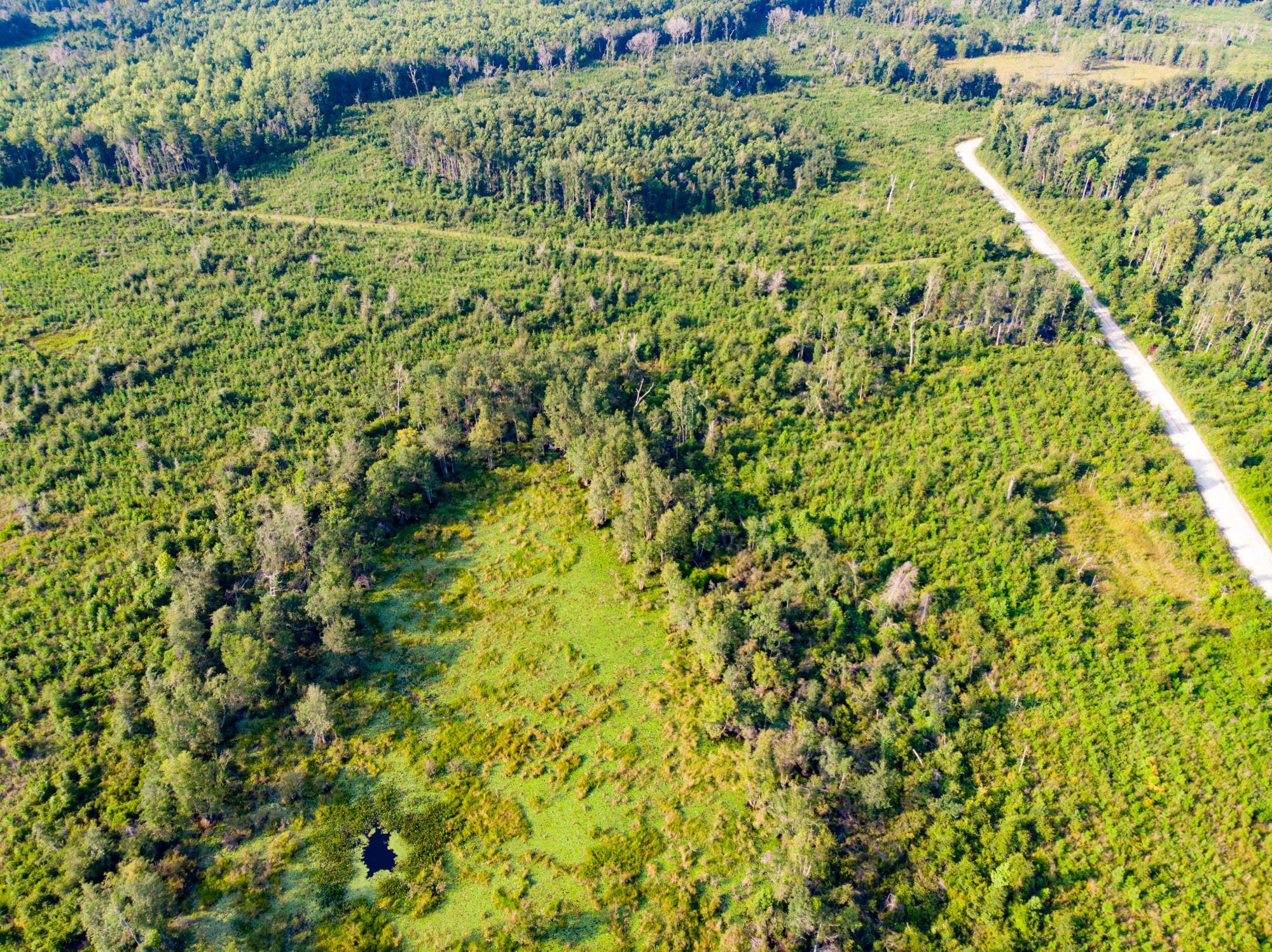 Cemetery Road Lamont, FL 32336 - Photo 2 of 28 Gallery Image 2