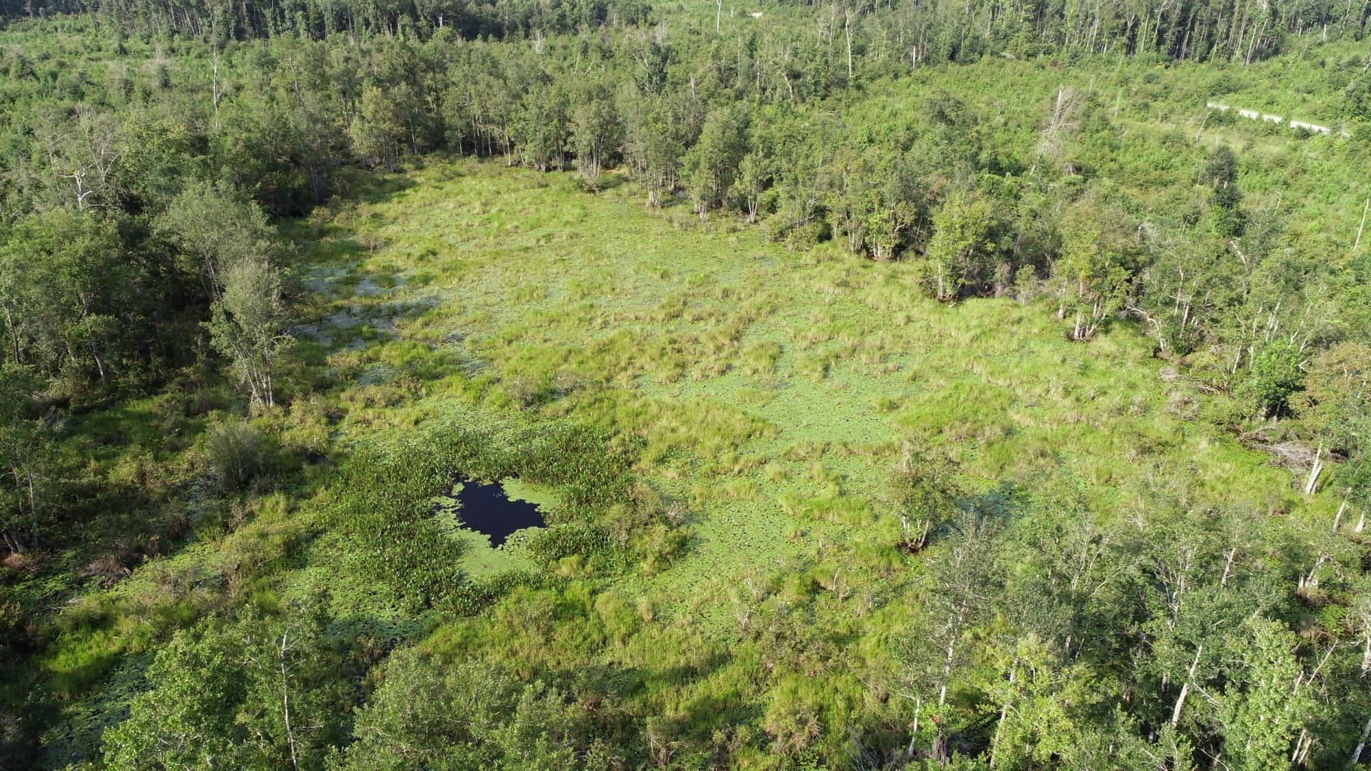 Cemetery Road Lamont, FL 32336 - Photo 24 of 28 Gallery Image 24