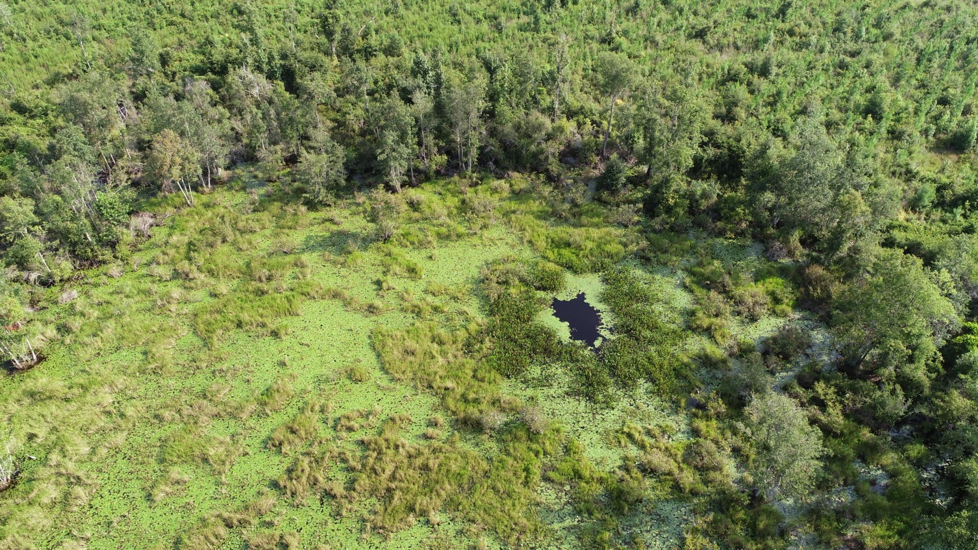 Cemetery Road Lamont, FL 32336 - Photo 25 of 28 Gallery Image 25
